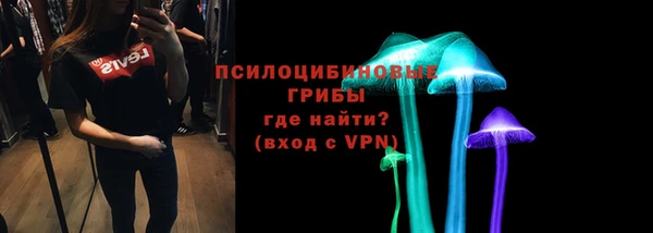 гашик Касимов