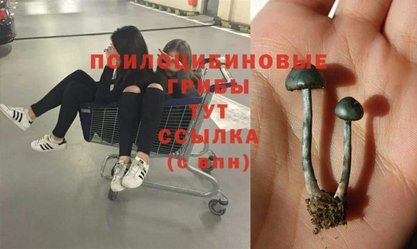 каннабис Балахна
